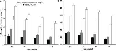 Polystyrene as a vector of heavy metals in hard clam Meretrix lusoria under various salinities